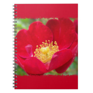 Roses Are Red Notebook