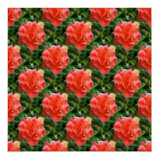 Roses are Red... Poster (Front)