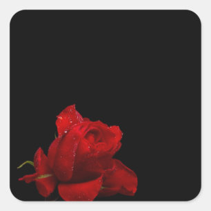 Roses Are Red Square Sticker