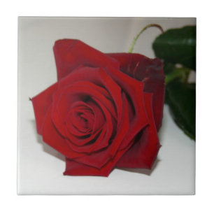 Roses Are Red Tile