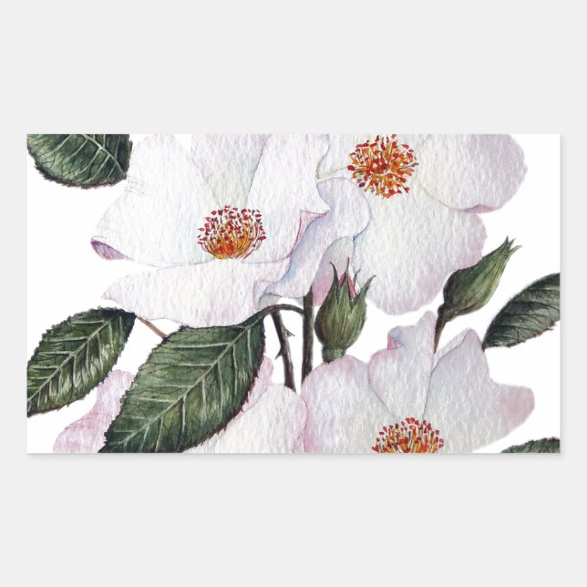 Roses 'Ballerina' Floral Art Sticker (Front)