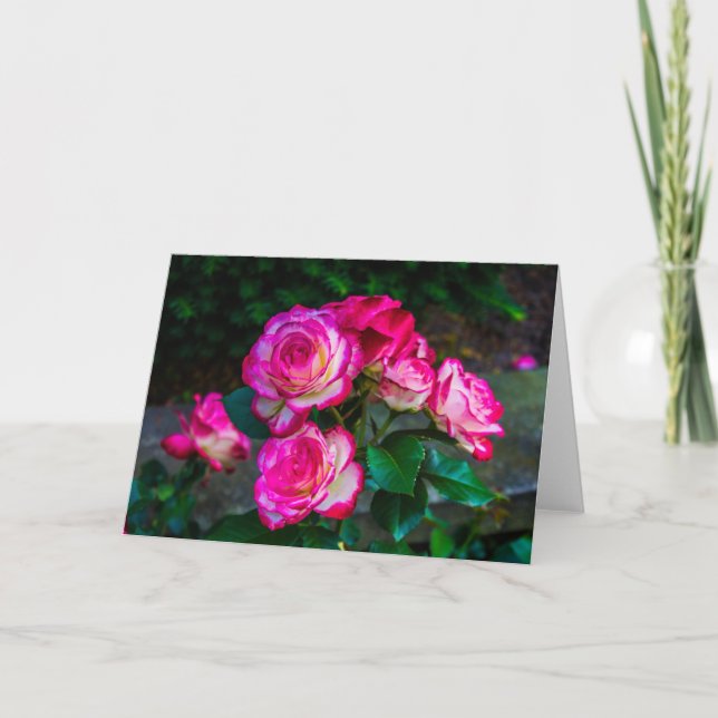 Roses Beauty Card (Front)