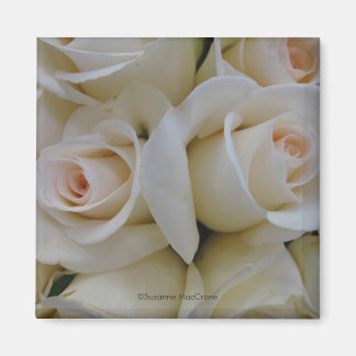 Roses blanches romantiques - Magnet Carré