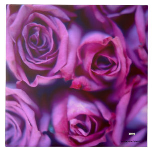 Roses Ceramic Tile