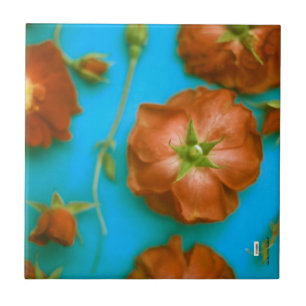 Roses Ceramic Tile