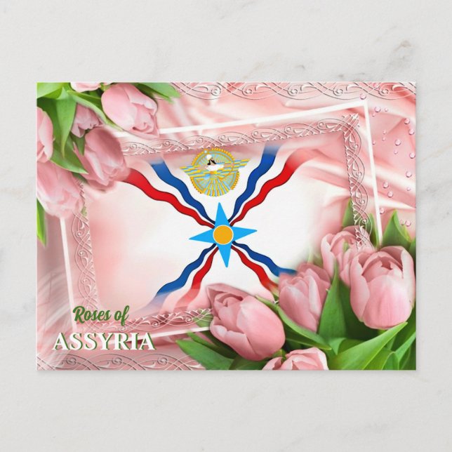 Roses de carte postale ASSYRIA (Devant)