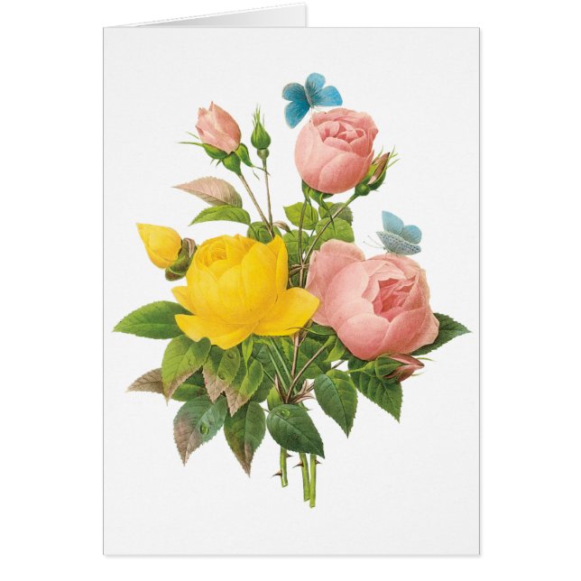 Roses de thé à la rose vintage perse par Redoute (Devant)