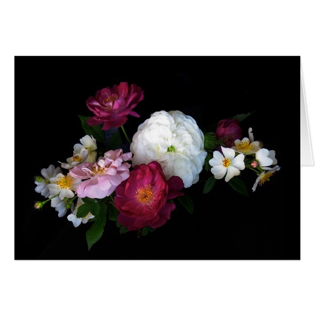 Roses démodés (Devant horizontal)