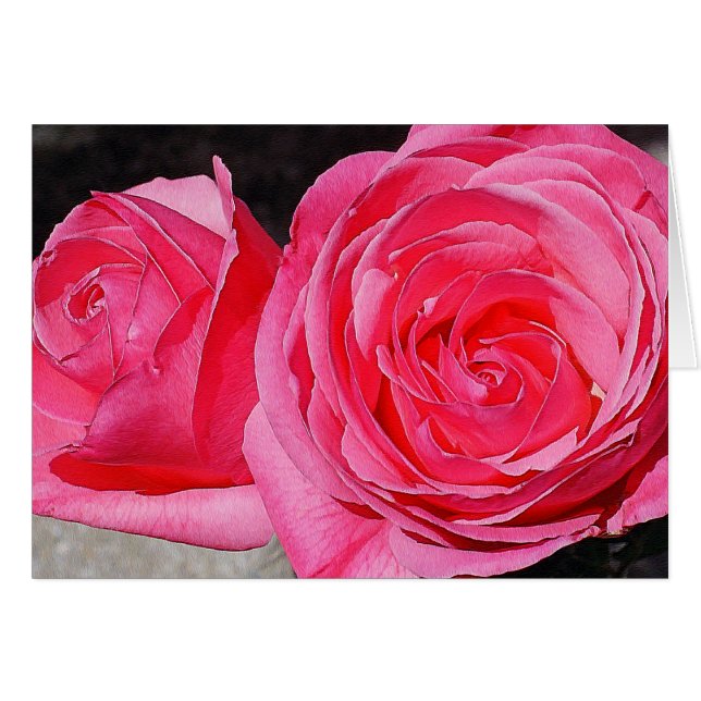 Roses Escalades roses (Devant horizontal)