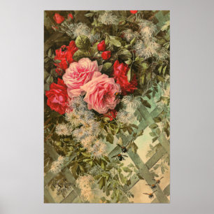 Roses et Clematis sur une affiche de Trellis