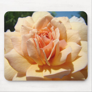 ROSES, FLEURS DE ROSE TAPIS DE SOURIS TAPIS DE SOU