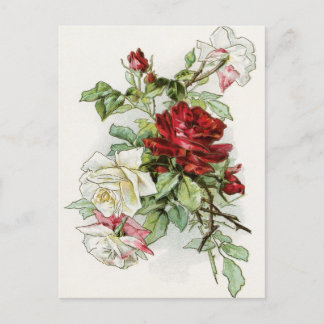 Roses flowers vintage rose victorian postcard