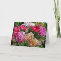 Roses for Mother's Day
