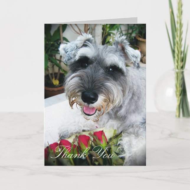 Roses For You - Thank You (Front)