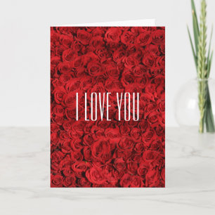 Roses I Love You for Valentine's Day Holiday Card