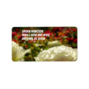 Roses In A Garden / White And Red / Label