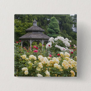 Roses in bloom and Gazebo Rose Garden at the 2 Inch Square Button