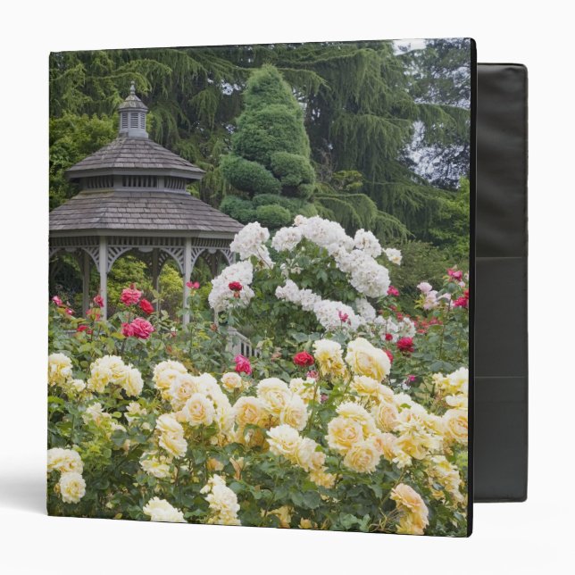 Roses in bloom and Gazebo Rose Garden at the Binder (Front/Inside)