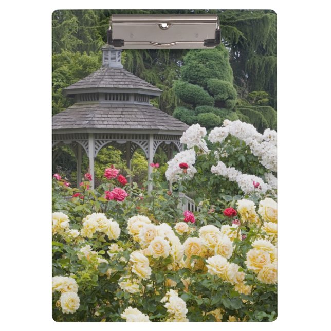 Roses in bloom and Gazebo Rose Garden at the Clipboard (Front)