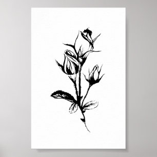 Roses Line Drawing Art Ink Sketch of Rosebuds Poster
