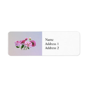 Roses minuscules roses