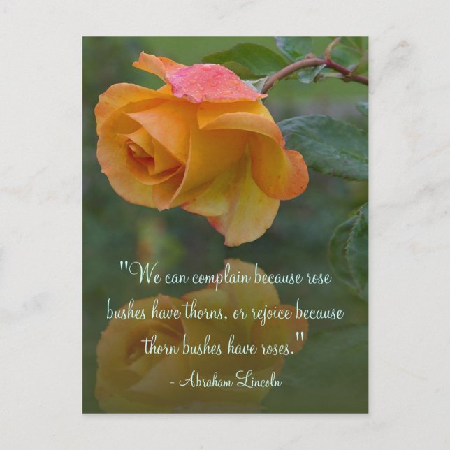 Roses Motivational Lincoln Quote Postcard (Front)