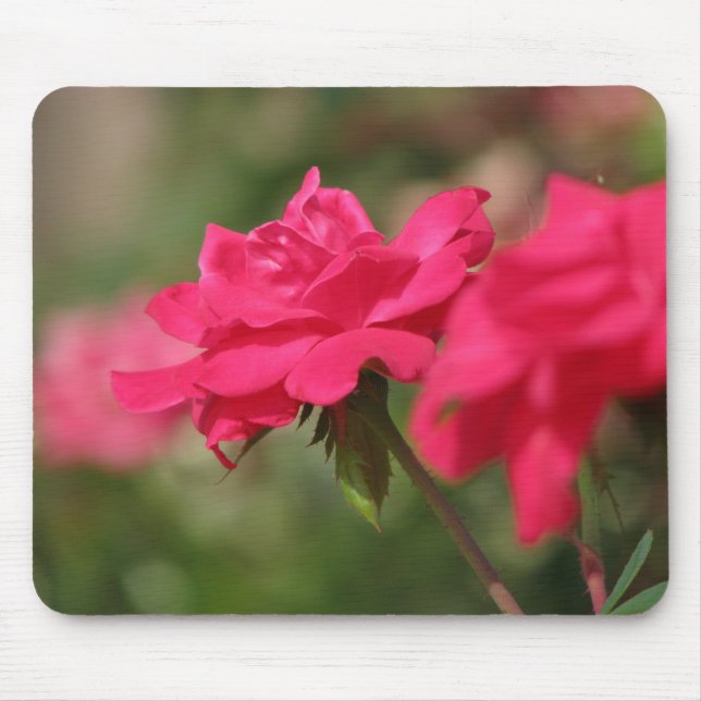 Roses Mouse Pad (Front)