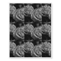 Roses noirs et blancs