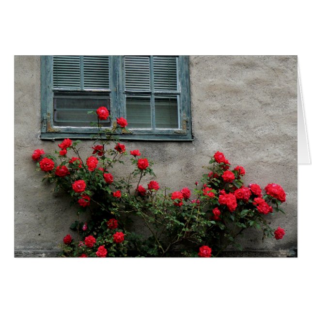 Roses norvégiens (Devant horizontal)