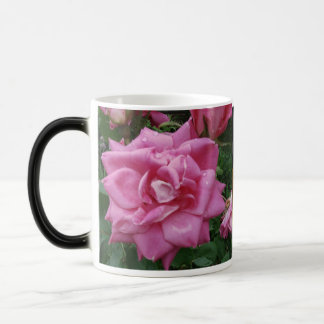 Roses of Friendship and Love Mug