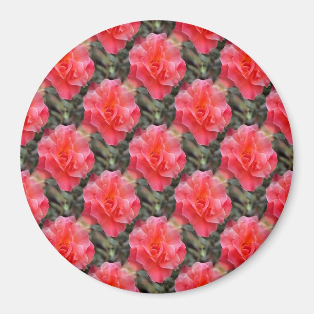 Roses of Love........ Magnet (Front)