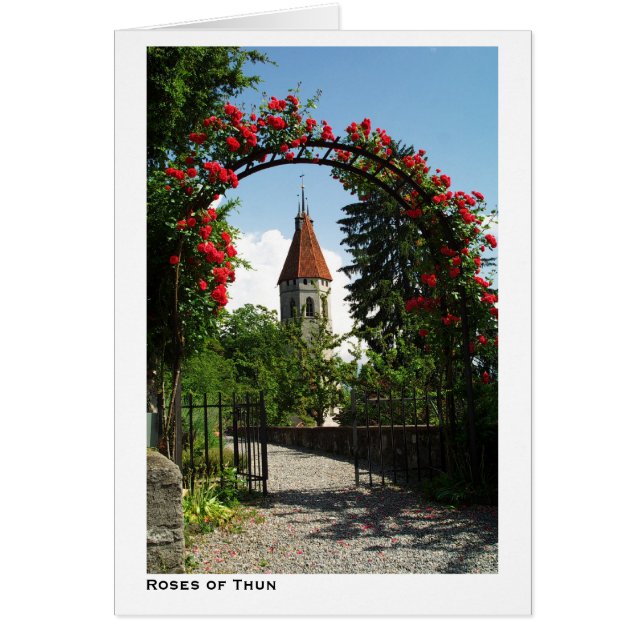 Roses of Thun (Front)