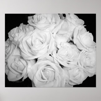 Roses on Canvas Poster