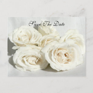 Roses on Linen Announcement Postcard