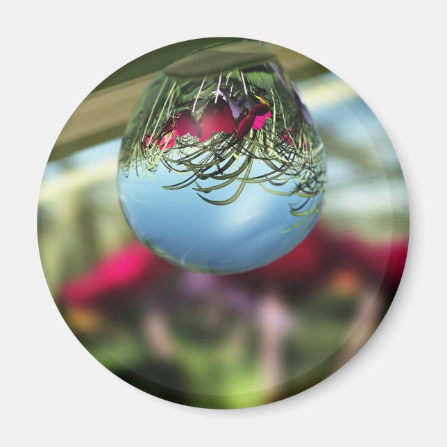 Roses on Raindrops Magnet (Front)