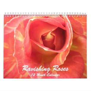 Roses Photo Rose Photos Flower Calendar
