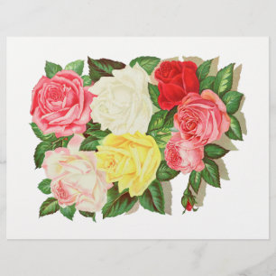 Roses Pink White Yellow Red Flower Floral #1