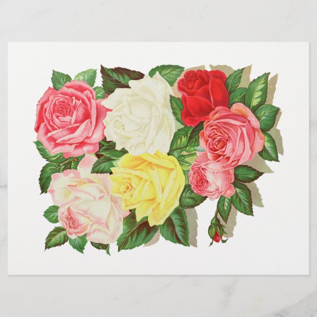 Roses Pink White Yellow Red Flower Floral #1 (Front)