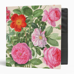 Roses, plate 4 from the Nassau Florilegium (w/c on Binder