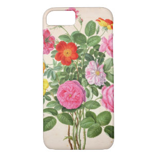 Roses, plate 4 from the Nassau Florilegium (w/c on iPhone 8/7 Case