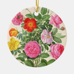 Roses, plate 4 from the Nassau Florilegium (w/c on Ceramic Ornament