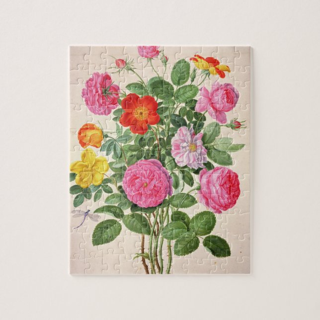 Roses, plate 4 from the Nassau Florilegium (w/c on Jigsaw Puzzle (Vertical)