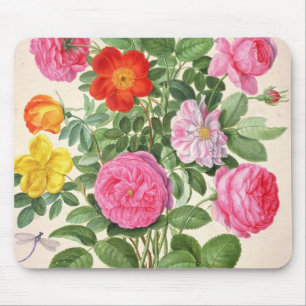 Roses, plate 4 from the Nassau Florilegium (w/c on Mouse Pad