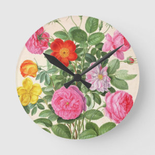 Roses, plate 4 from the Nassau Florilegium (w/c on Round Clock