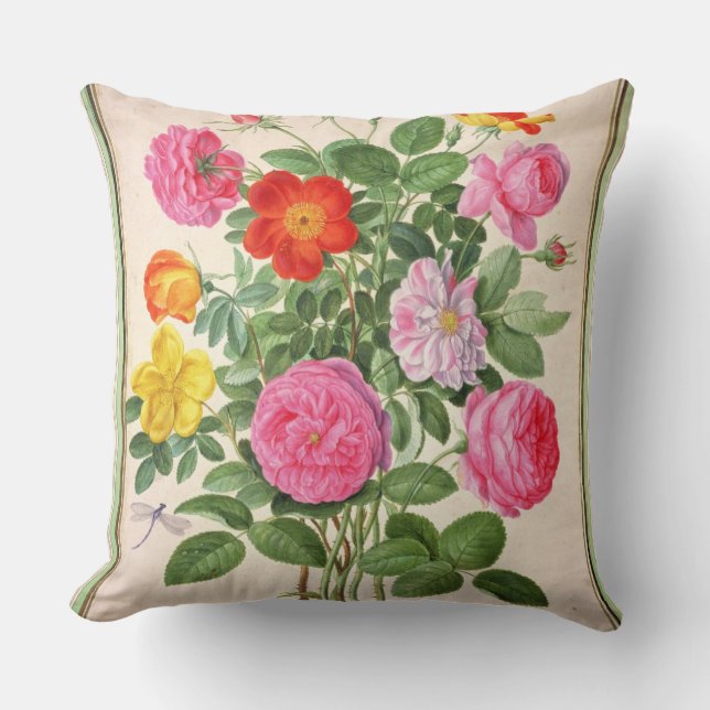 Roses, plate 4 from the Nassau Florilegium (w/c on Throw Pillow (Front)