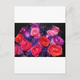 Roses Postcard