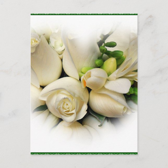 Roses_ Postcard (Front)