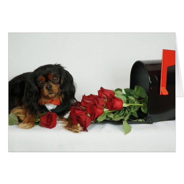 Roses pour vous (Devant horizontal)
