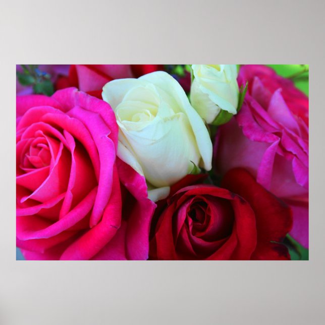 Roses Print (Front)