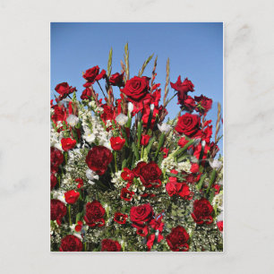 Roses-r-Red Postcard